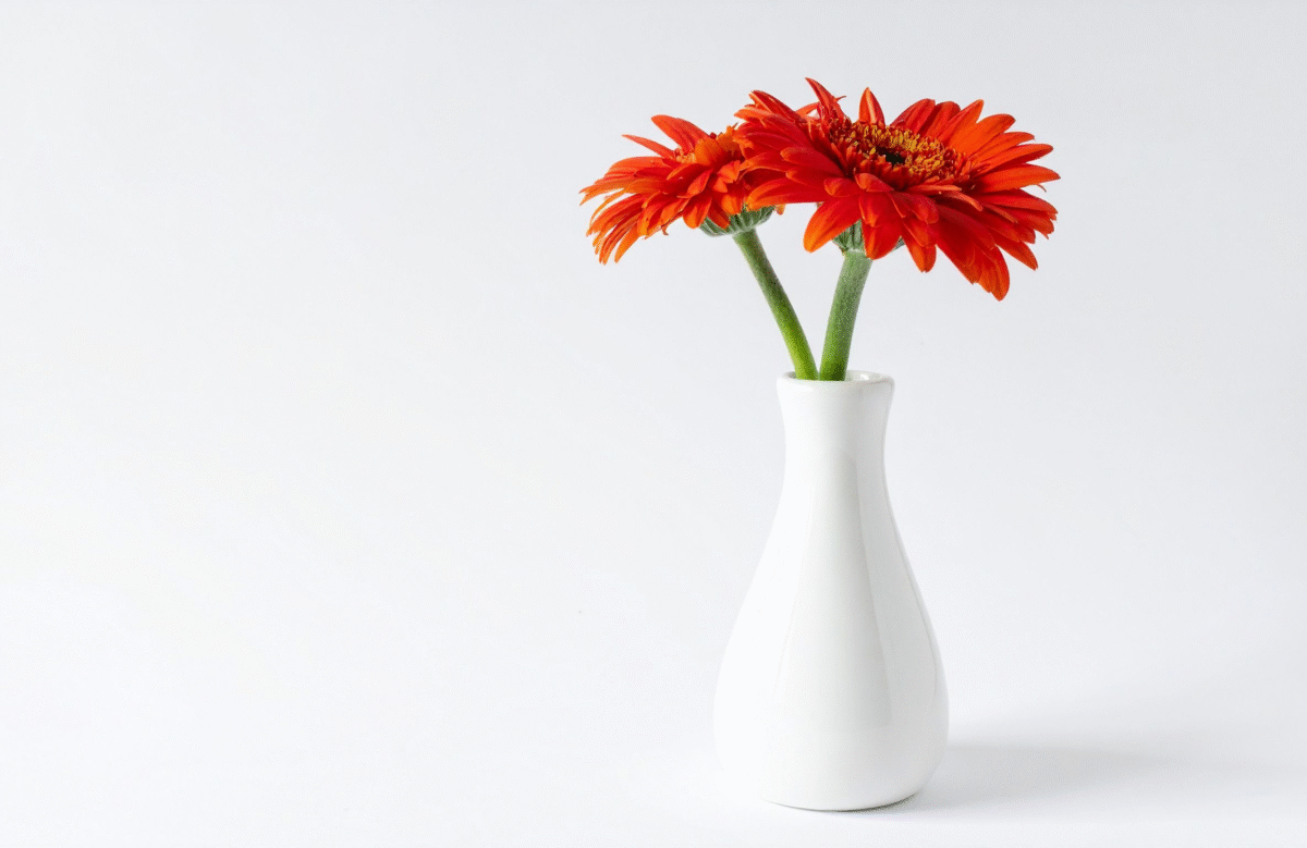 12 Minimalist Matte White Ceramic Vase
