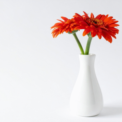 12 Minimalist Matte White Ceramic Vase